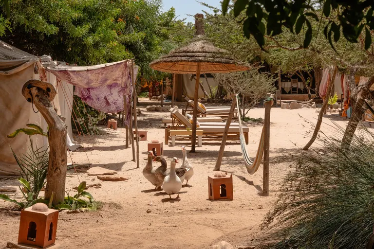 Notre surf camp à Dakhla : bien plus qu'un simple séjour surf
