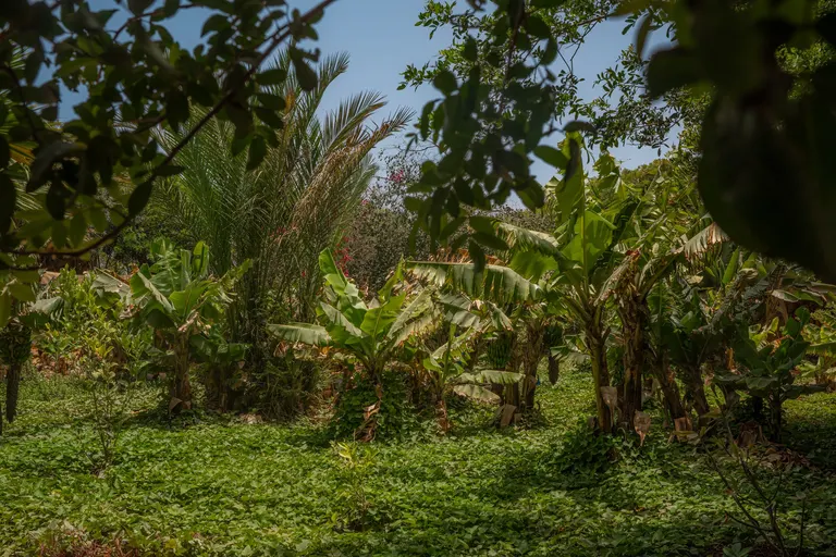 Vie de surf camp à Dar Tawarta