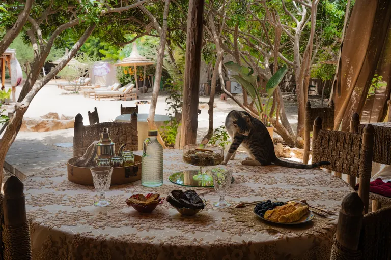 Détente au camp Dar Tawarta