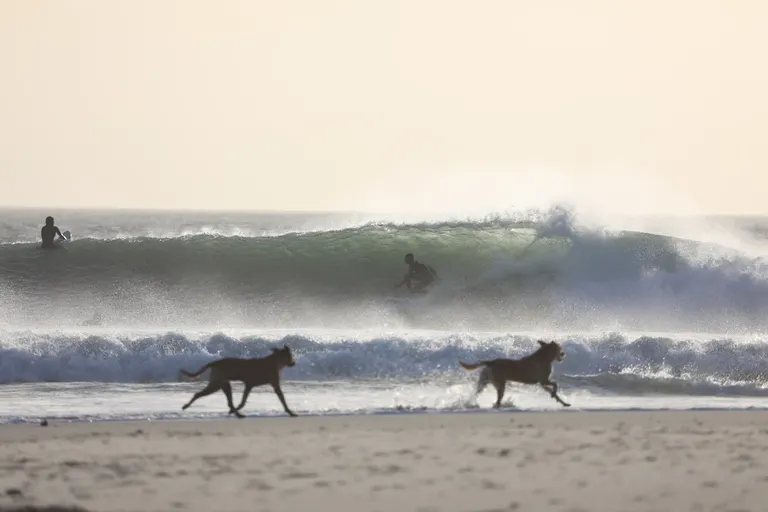 Les meilleurs spots de surf à Dakhla : guide local