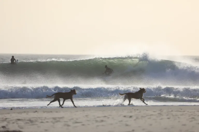 Entraînement de surf avancé à Dakhla
